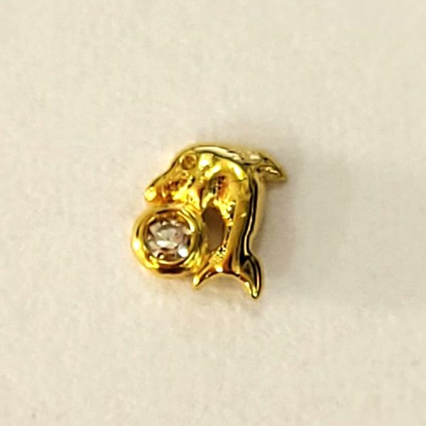 Dolphin with Crystal